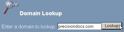 Looking up a domain