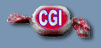CGI Wrapper icon